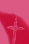 Backpack Bible (NIV, Italian Duo-Tone, Fuchsia)